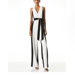 Alice + Olivia Tessa vneck jumpsuit
